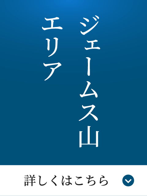 ジェームス山エリア