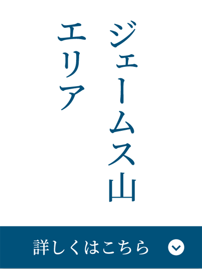 ジェームス山エリア