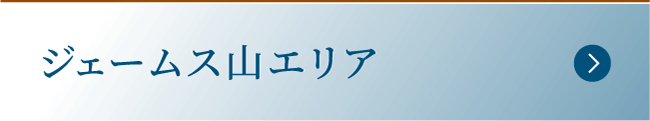 ジェームス山エリア