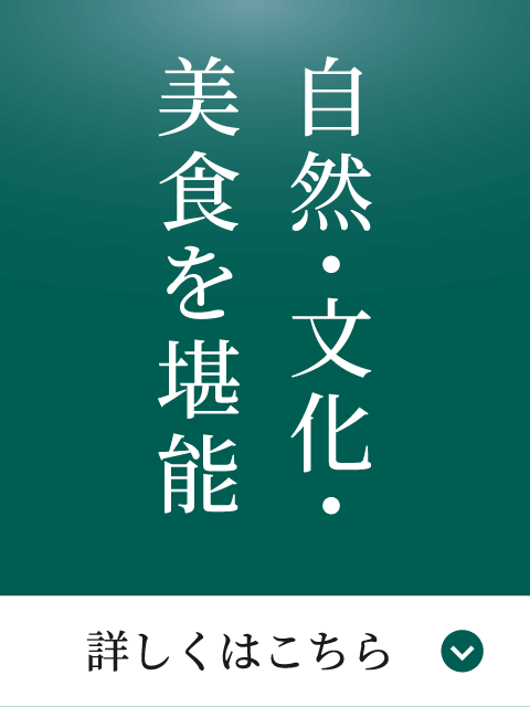 自然・文化・美食を堪能