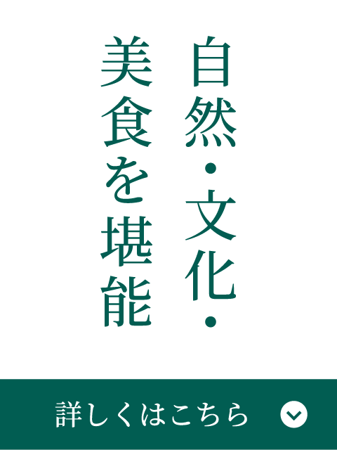自然・文化・美食を堪能