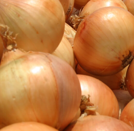淡路島玉ねぎ