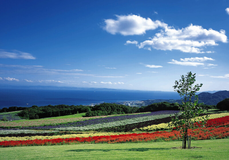 あわじ花さじき